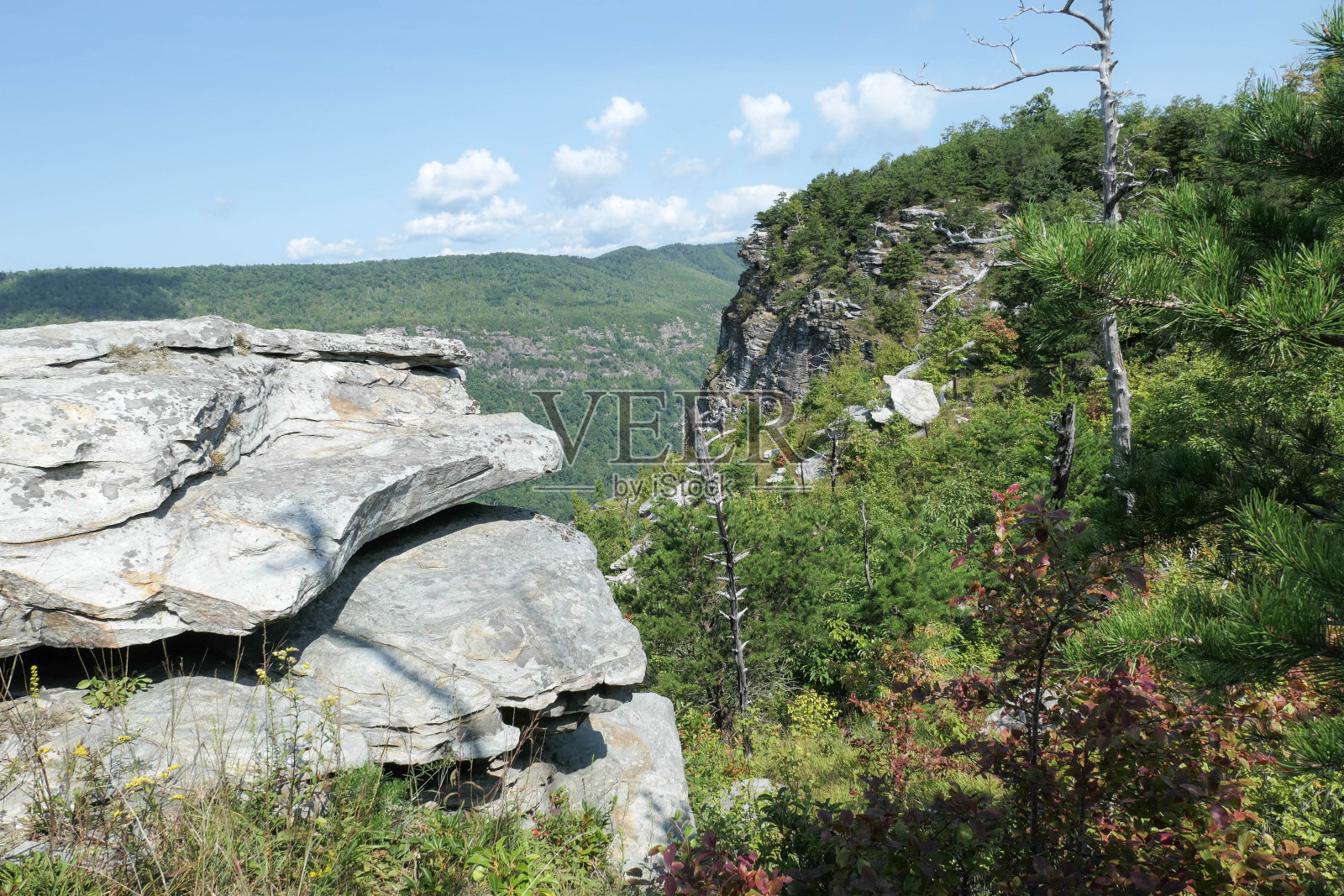 来自shortff山的Linvville峡谷照片摄影图片