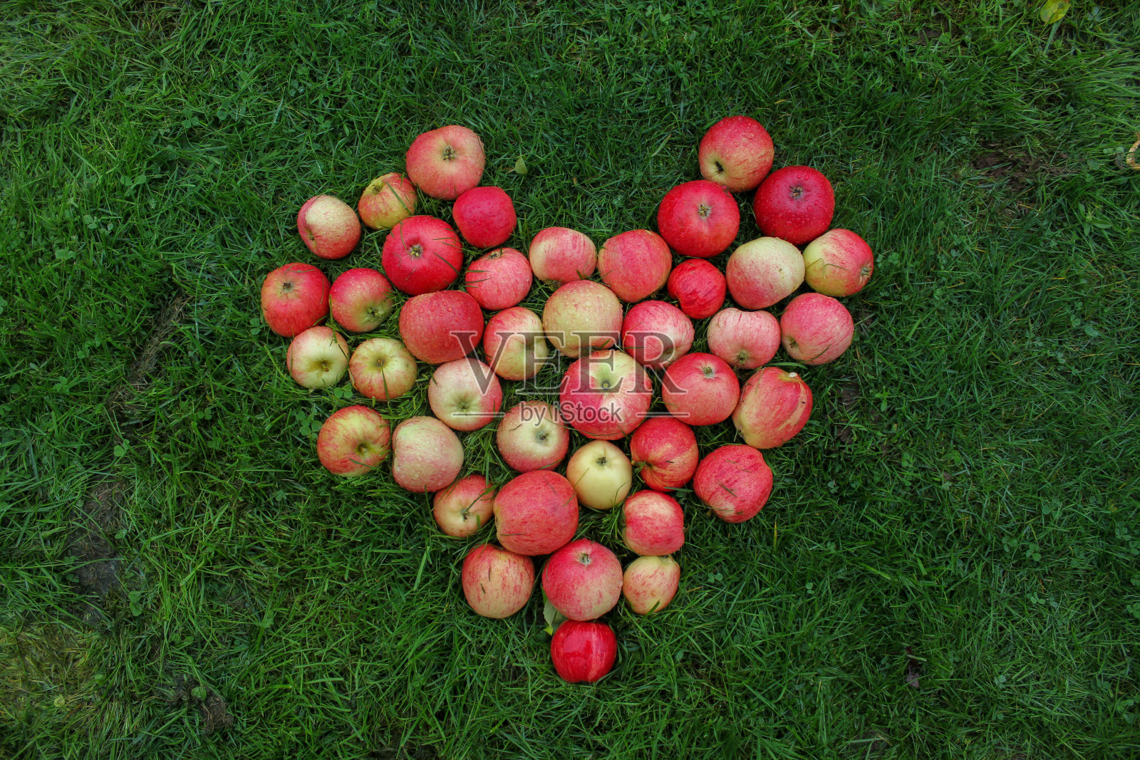 红苹果的心。照片摄影图片