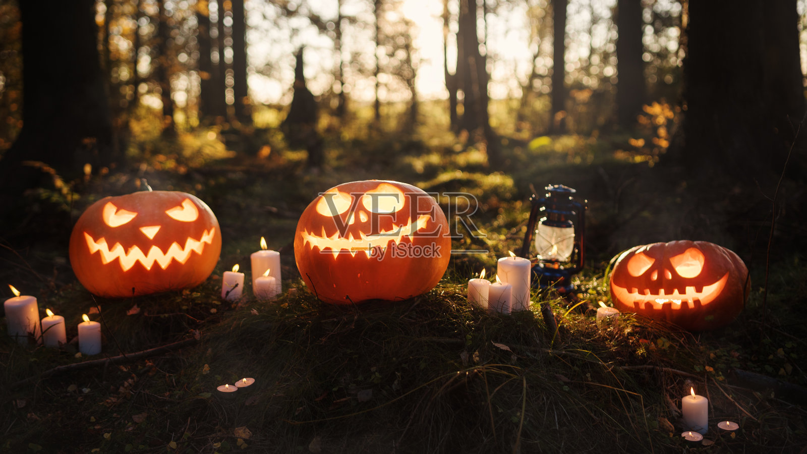 令人毛骨悚然的万圣节背景。在夜晚的森林里,三个南瓜灯和燃烧的蜡烛。传统节日符号。幽灵万圣节庆祝林地的概念照片摄影图片