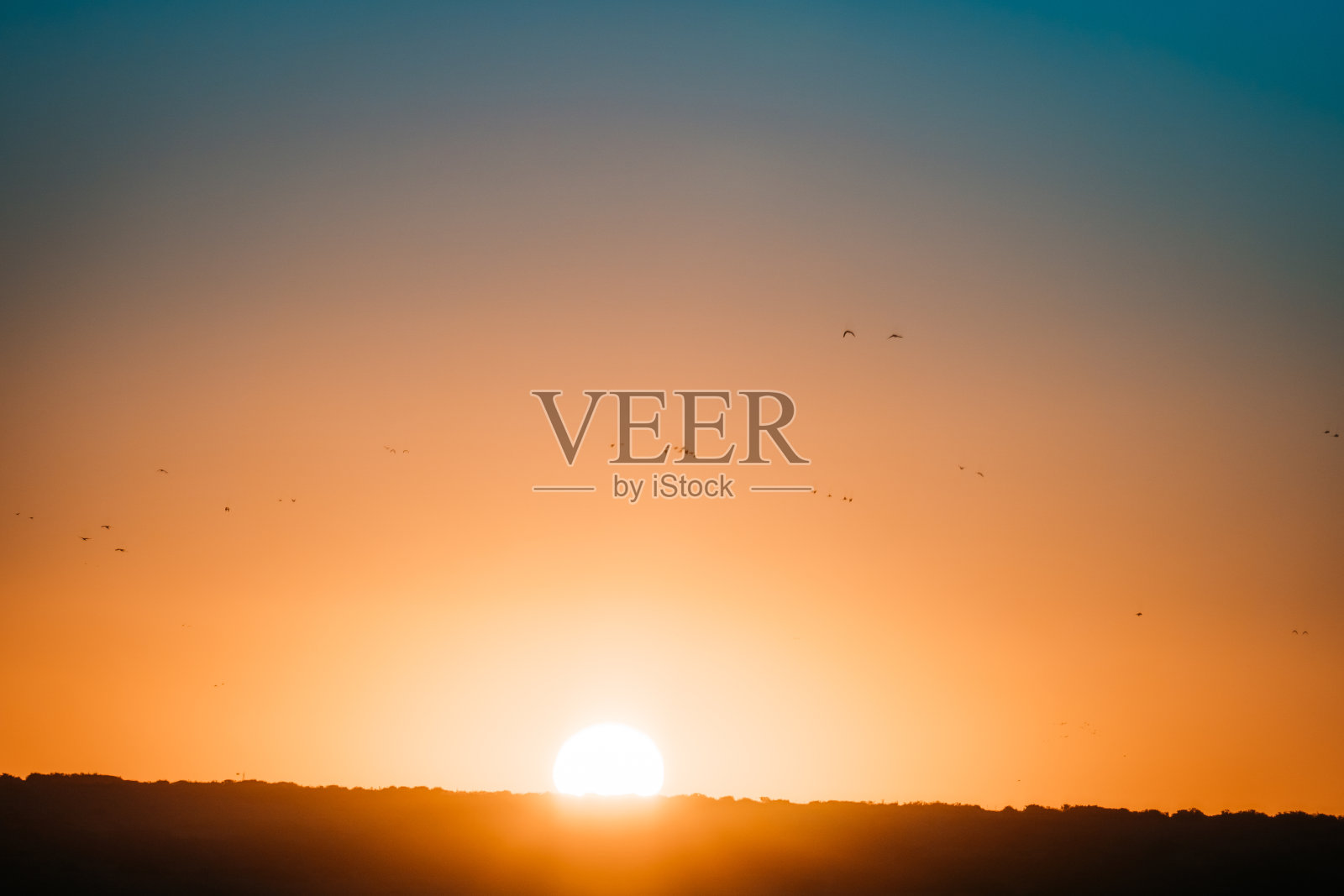 金色的小时照片摄影图片