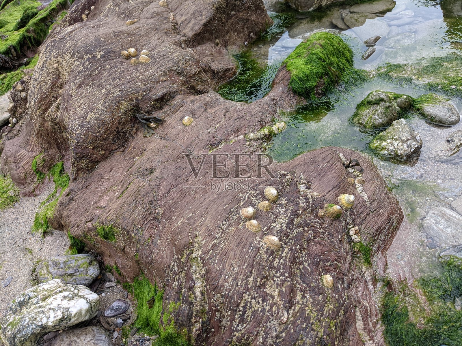 沙滩砂和岩石照片摄影图片