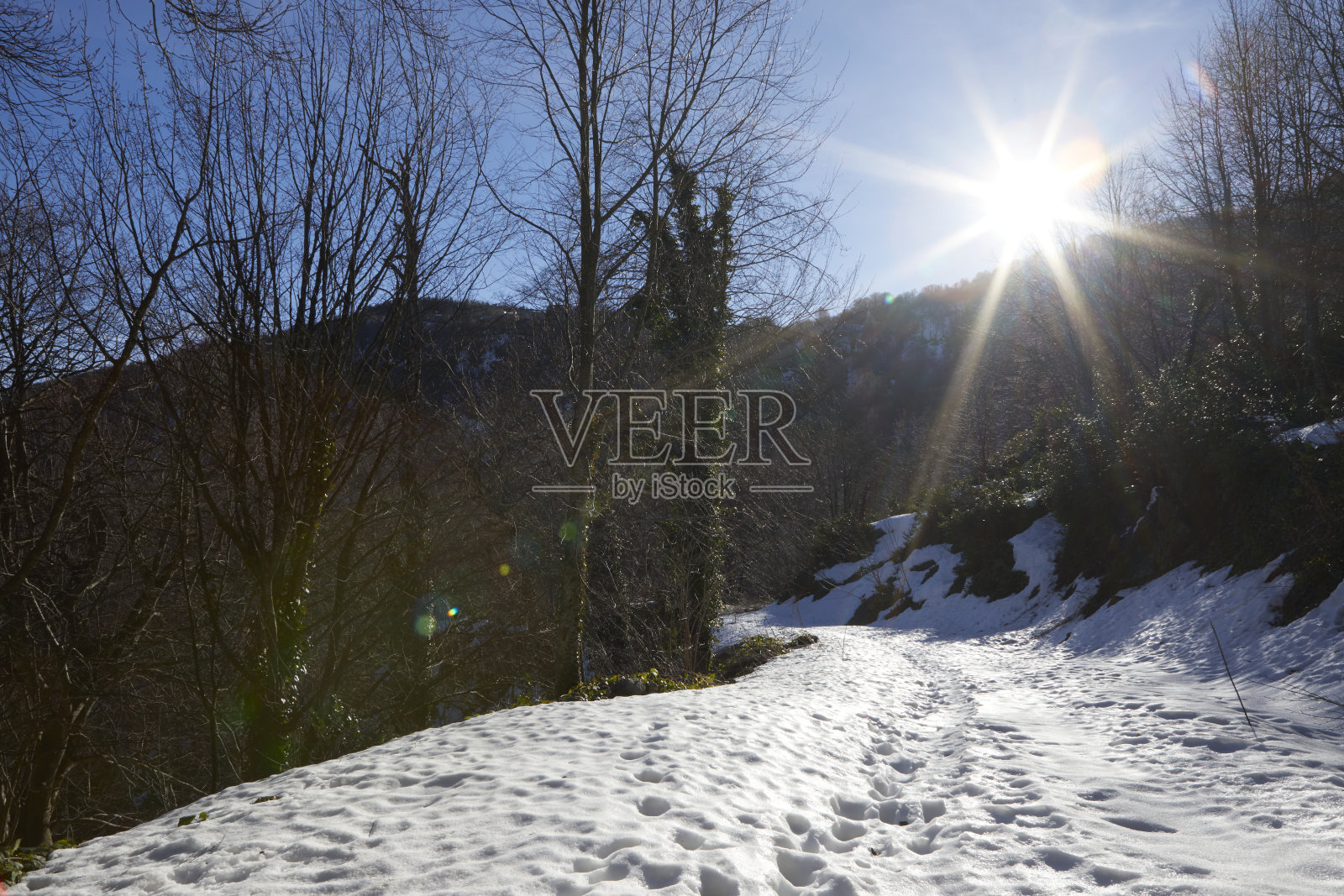 山上的雪照片摄影图片
