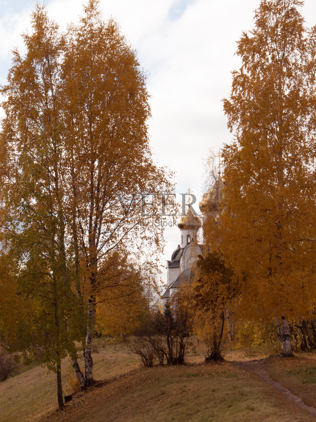 秋天的风景以一座教堂为背景,秋天黄色的树木和一座教堂照片摄影图片