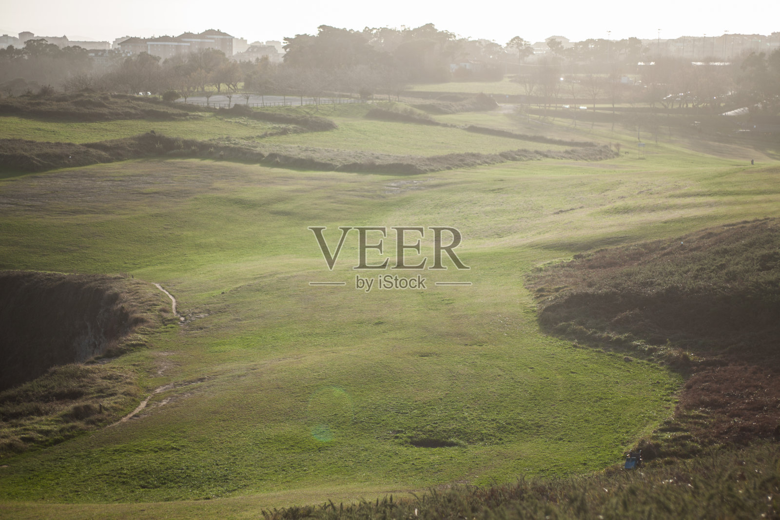 绿色的草地照片摄影图片