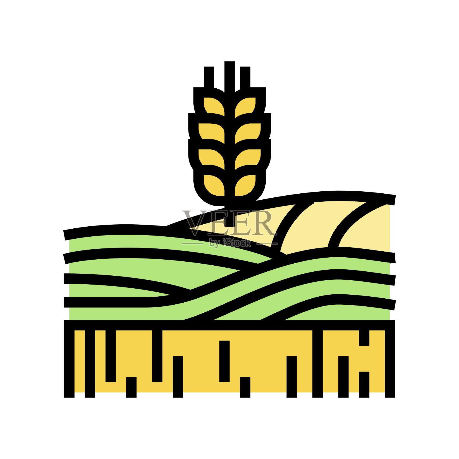 小麦生长田颜色图标矢量插图插画图片素材