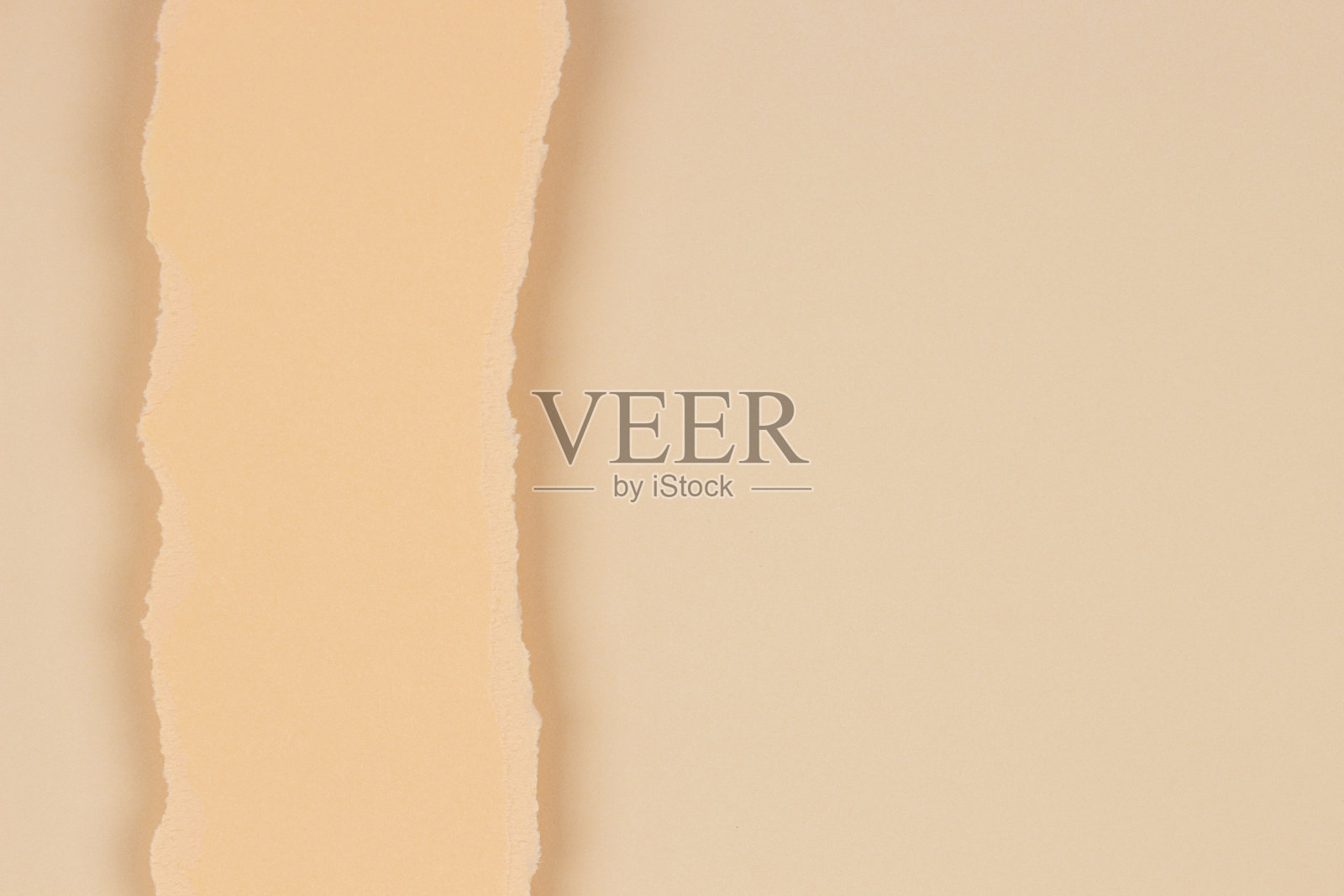 在空白的米色背景上撕裂的垂直纸片。抽象单色土色背景照片摄影图片