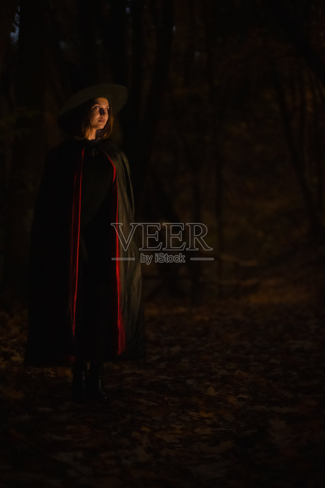 软聚焦噪音污染少女万圣节女孩女巫肖像垂直摄影黑暗森林照片摄影图片