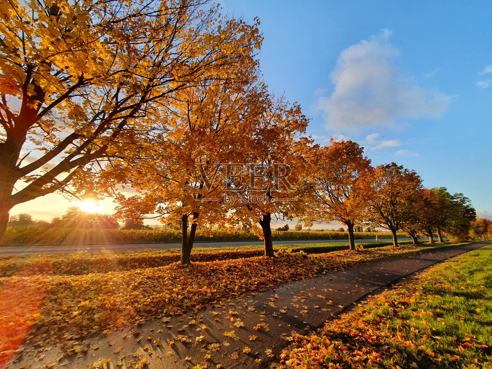 秋天的阳光一面照片摄影图片