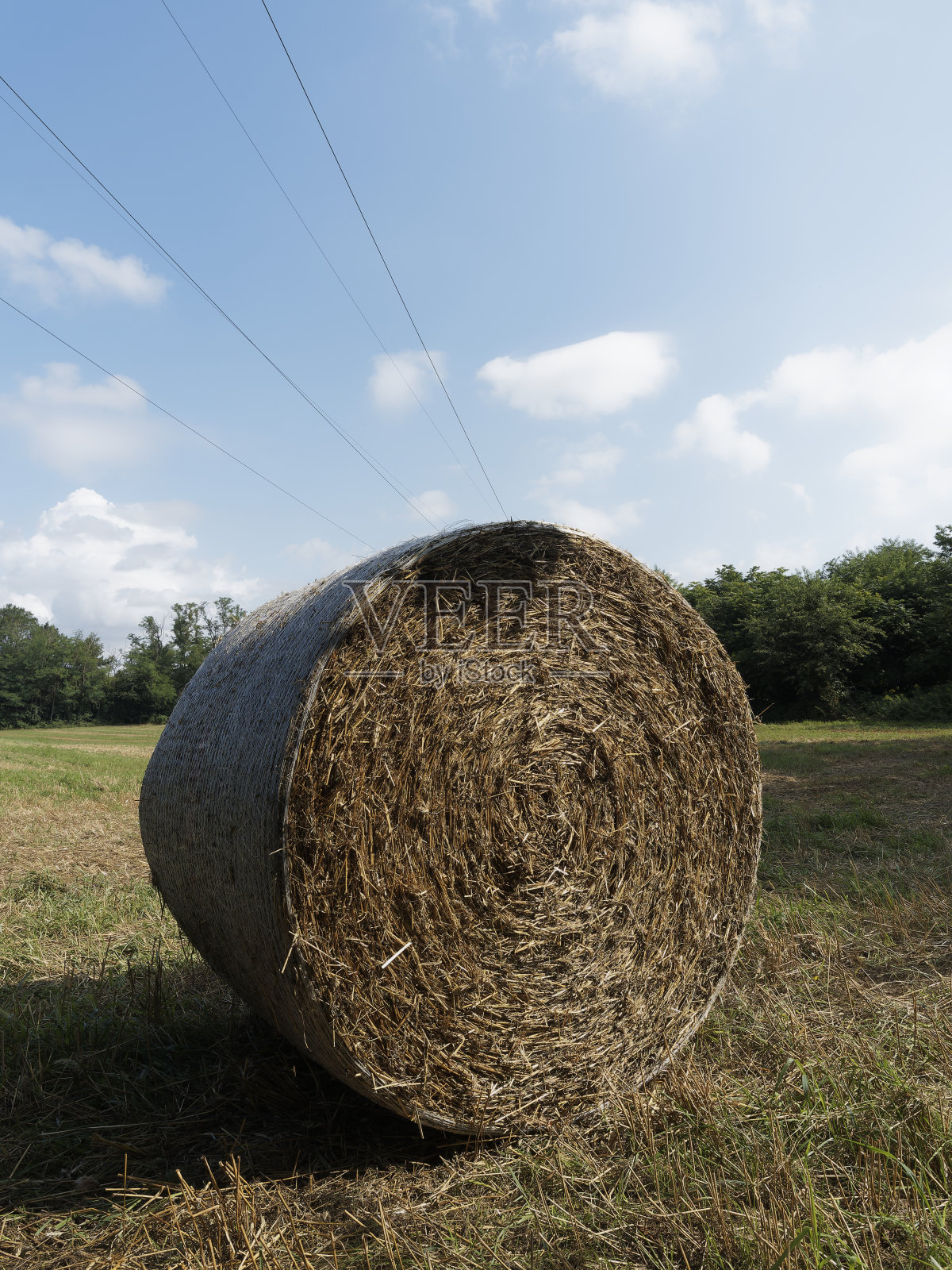 有包照片摄影图片