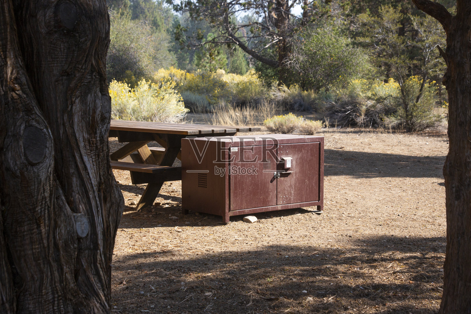 承担食品箱照片摄影图片