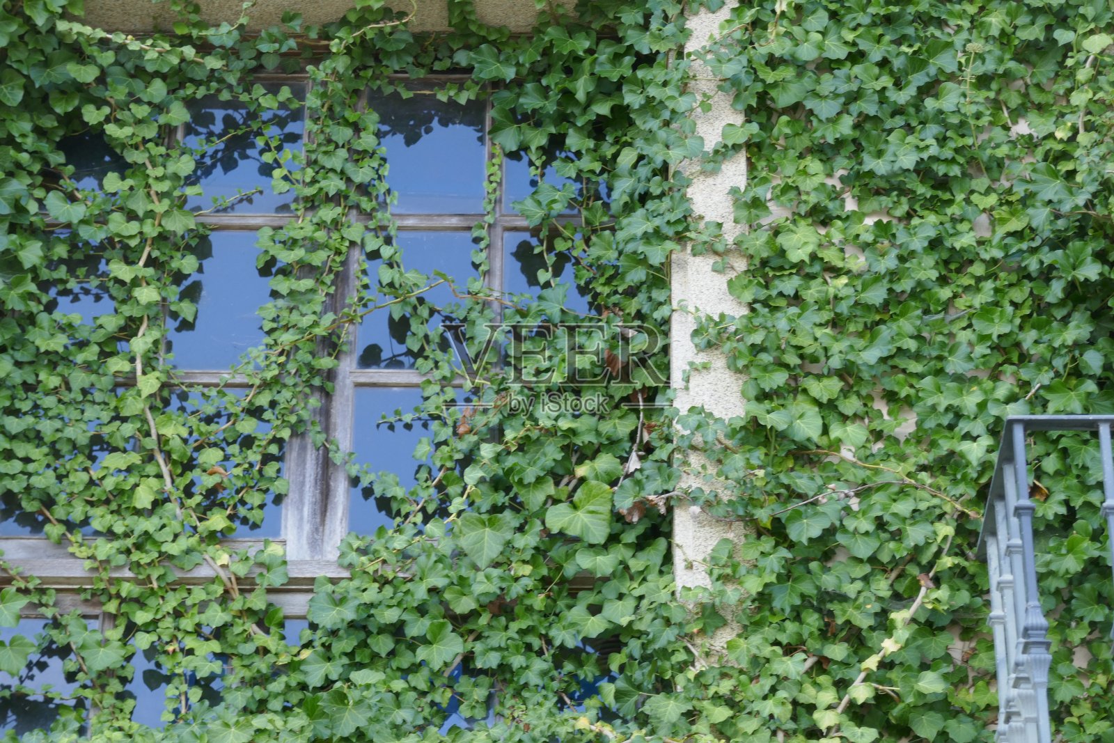 窗户照片摄影图片