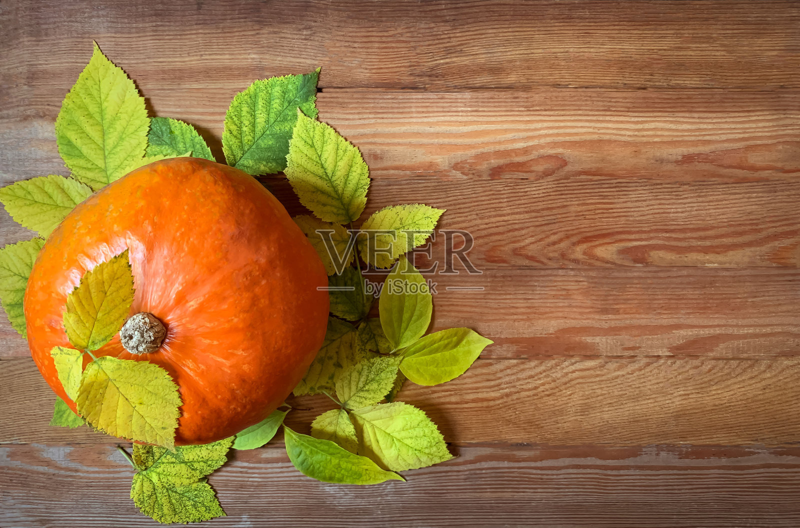 木制背景上有叶子的橙色南瓜照片摄影图片