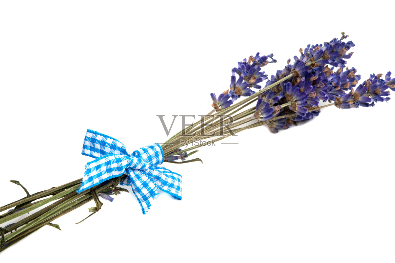 淡紫色的花孤立在白色上照片摄影图片