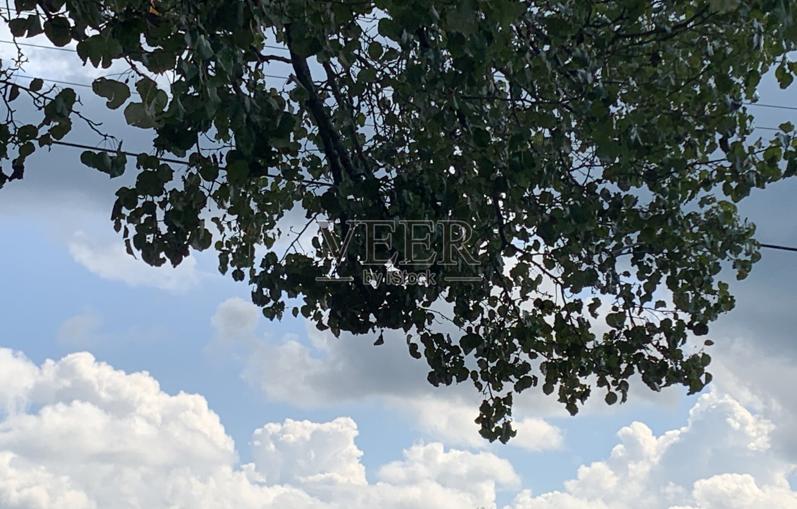 查找照片摄影图片