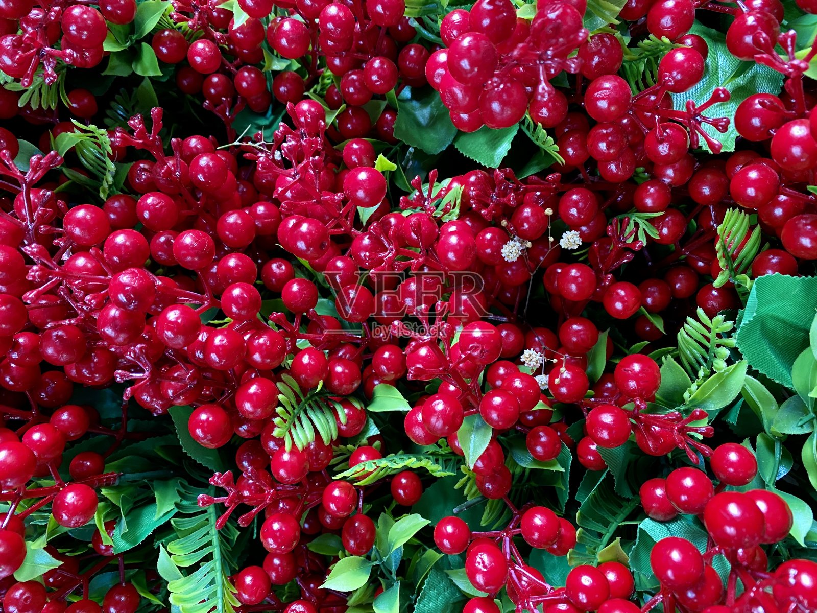 圣诞节的背景。红色浆果照片摄影图片