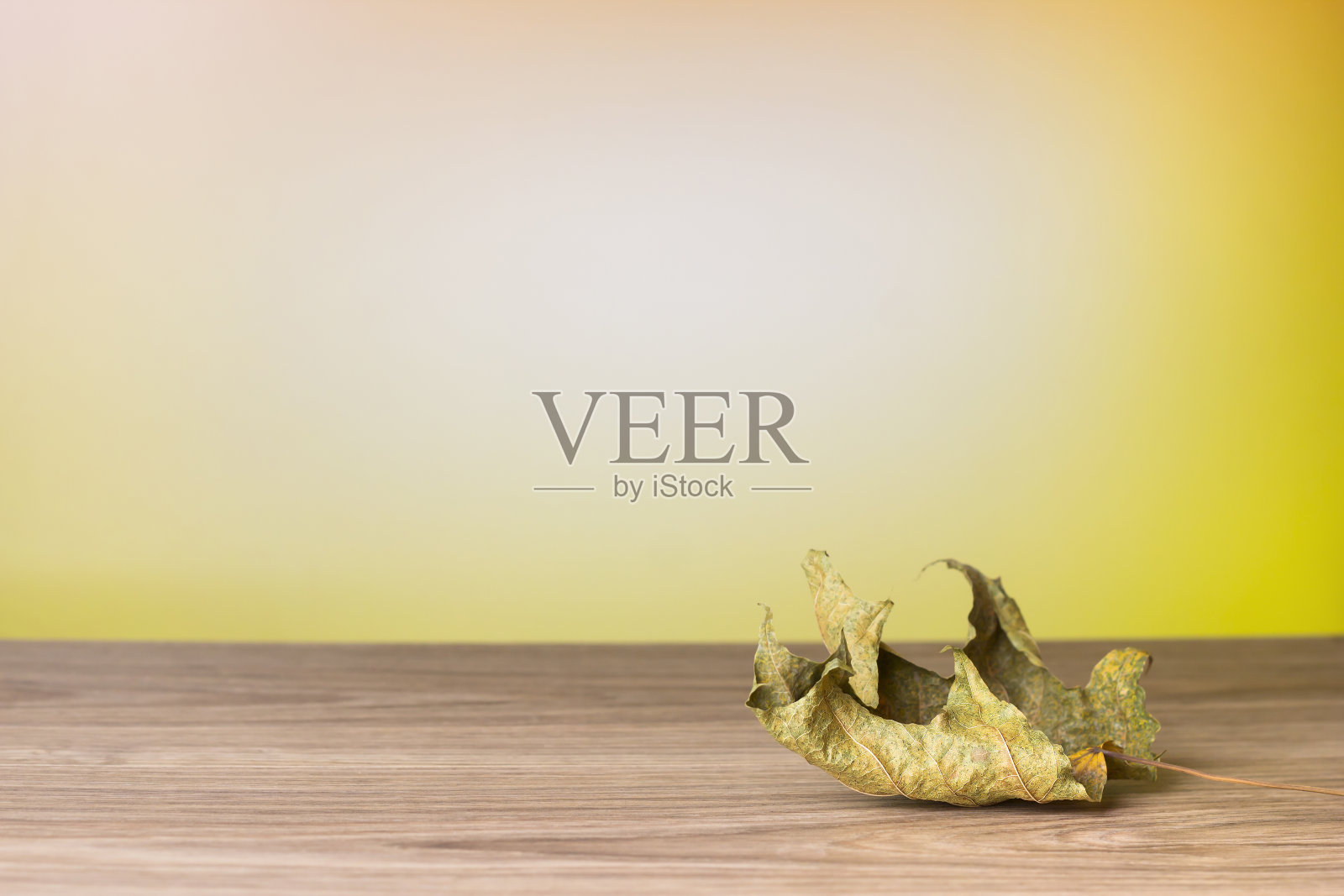 在木桌上晾干叶子。秋天的背景。照片摄影图片