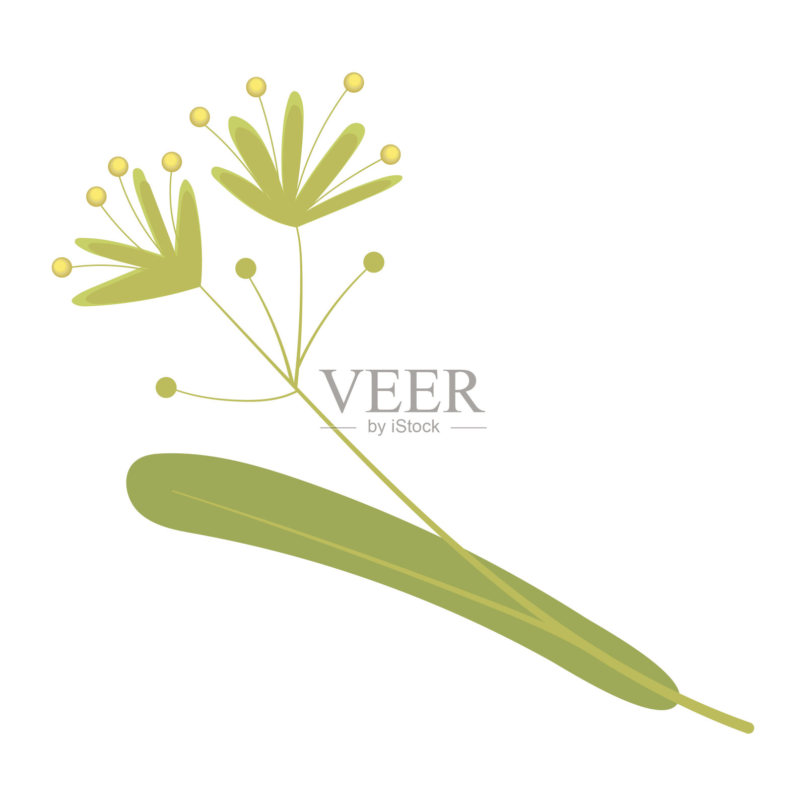 菩提树叶配以花朵的彩色插图。孤立在白色背景上。插画图片素材