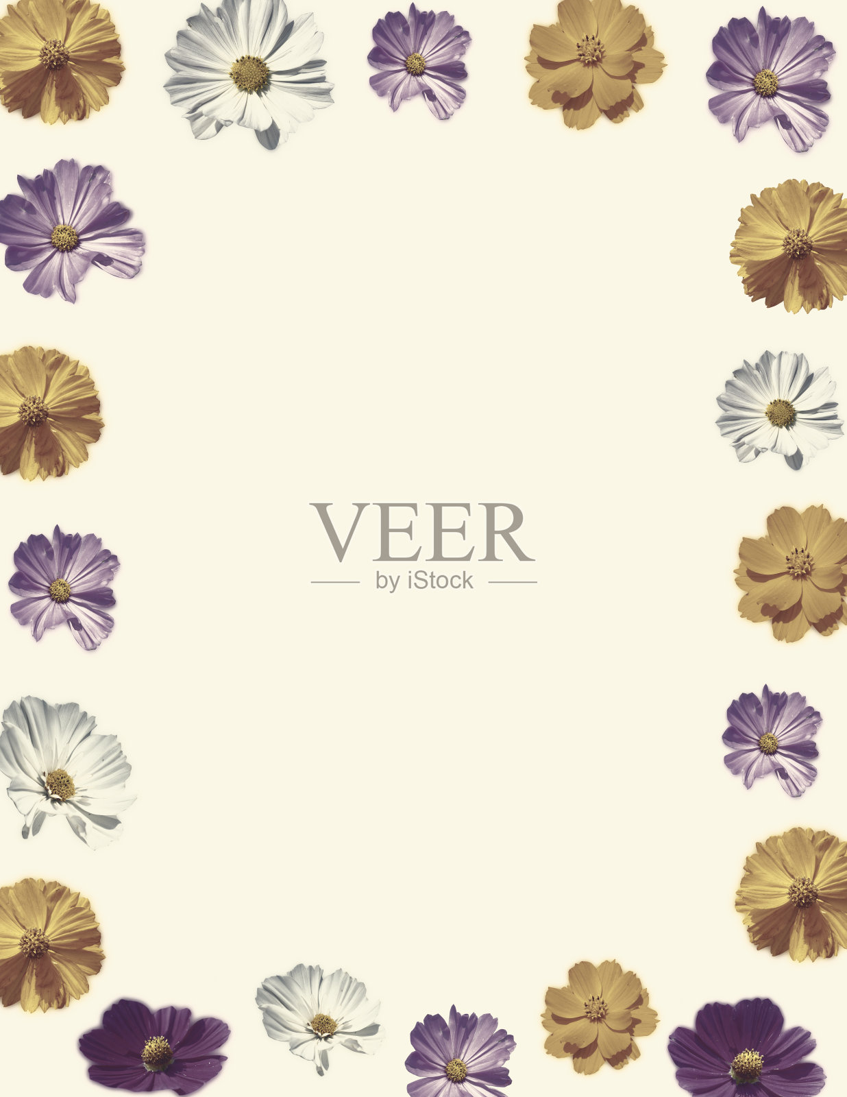 为文本的多色野花框架。照片摄影图片