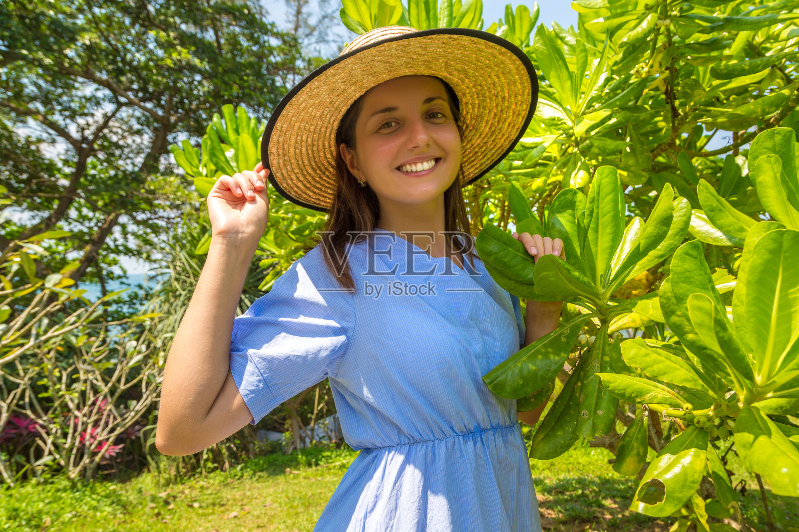 豪华的热带度假胜地照片摄影图片