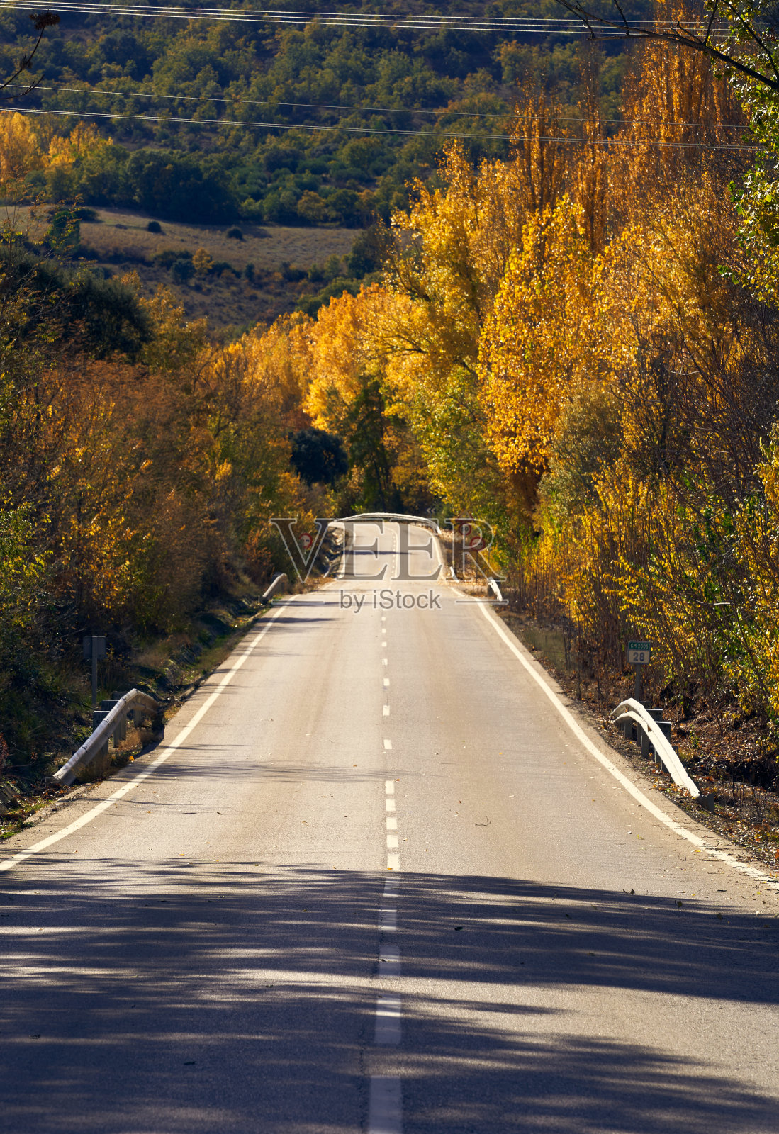 路与树与秋天的颜色照片摄影图片