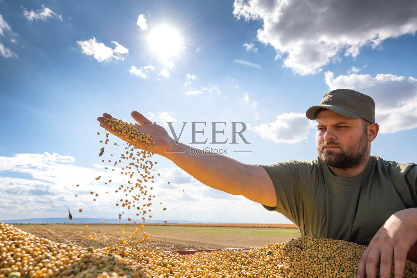 一个农民手里拿着大豆照片摄影图片