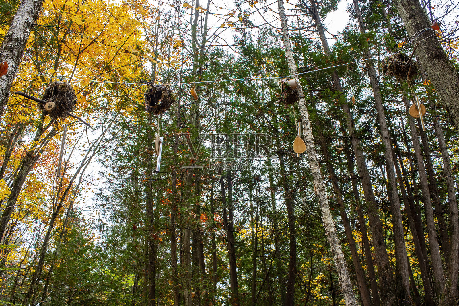 瀑布区域公园,圣比阿特里斯,魁北克,加拿大照片摄影图片