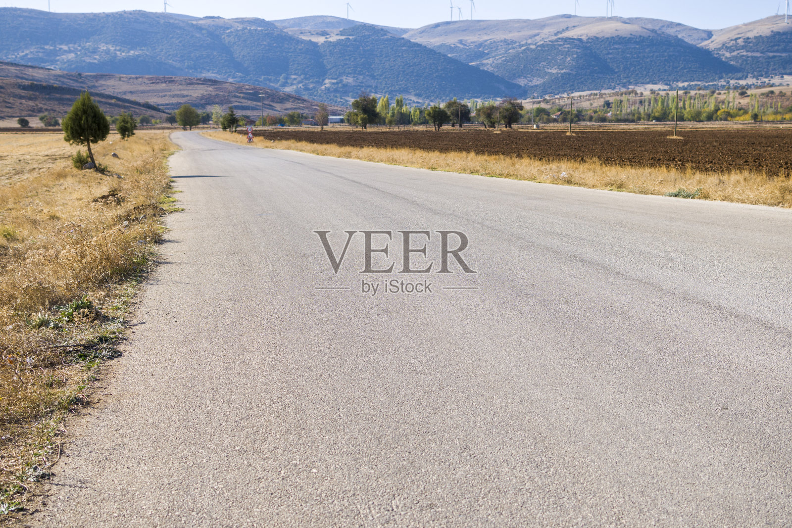 园林土间路照片摄影图片