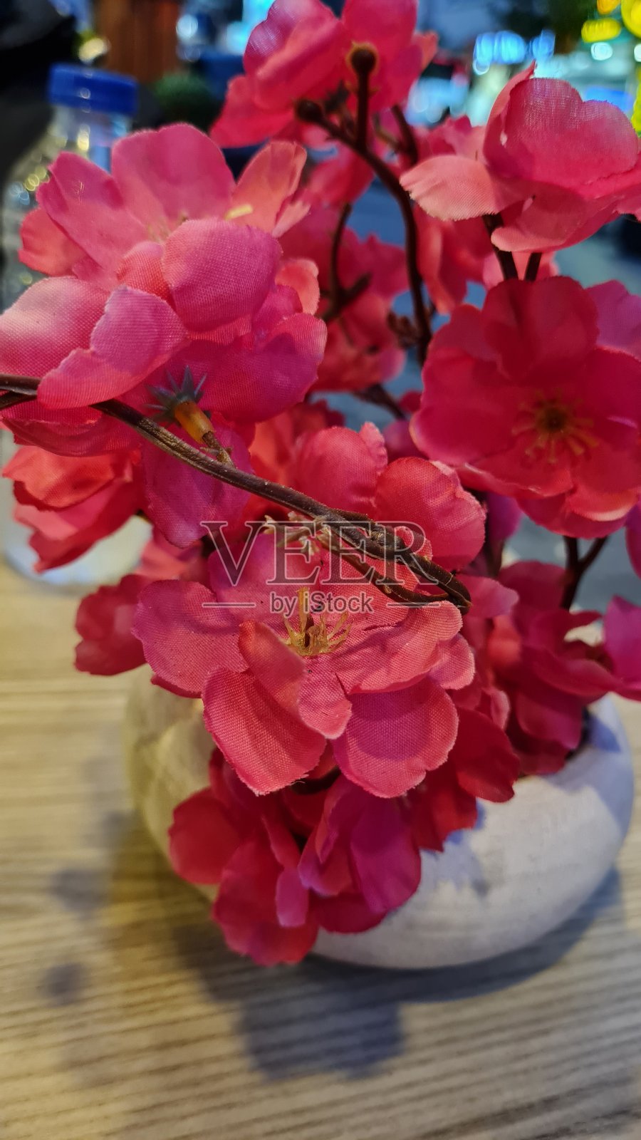 花点缀照片摄影图片