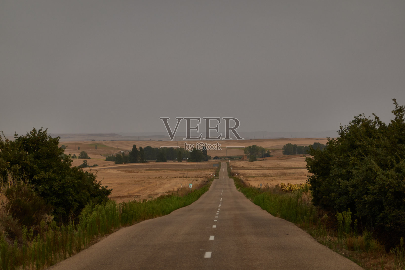 穿越Castilla y León的田野。西班牙照片摄影图片