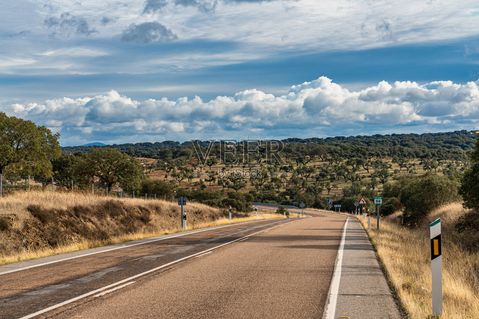 西班牙特鲁希略和普拉森西亚附近埃斯特雷马杜拉田地里的橄榄树照片摄影图片