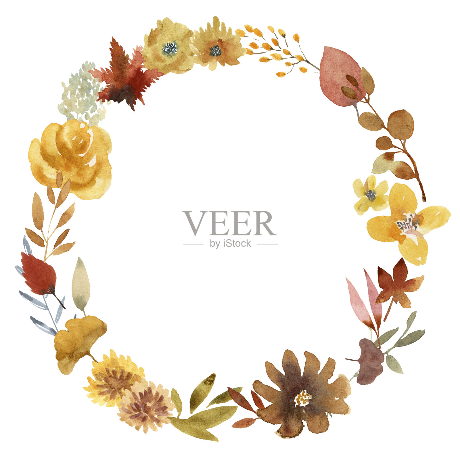 白色背景下的花朵特写镜头插画图片素材