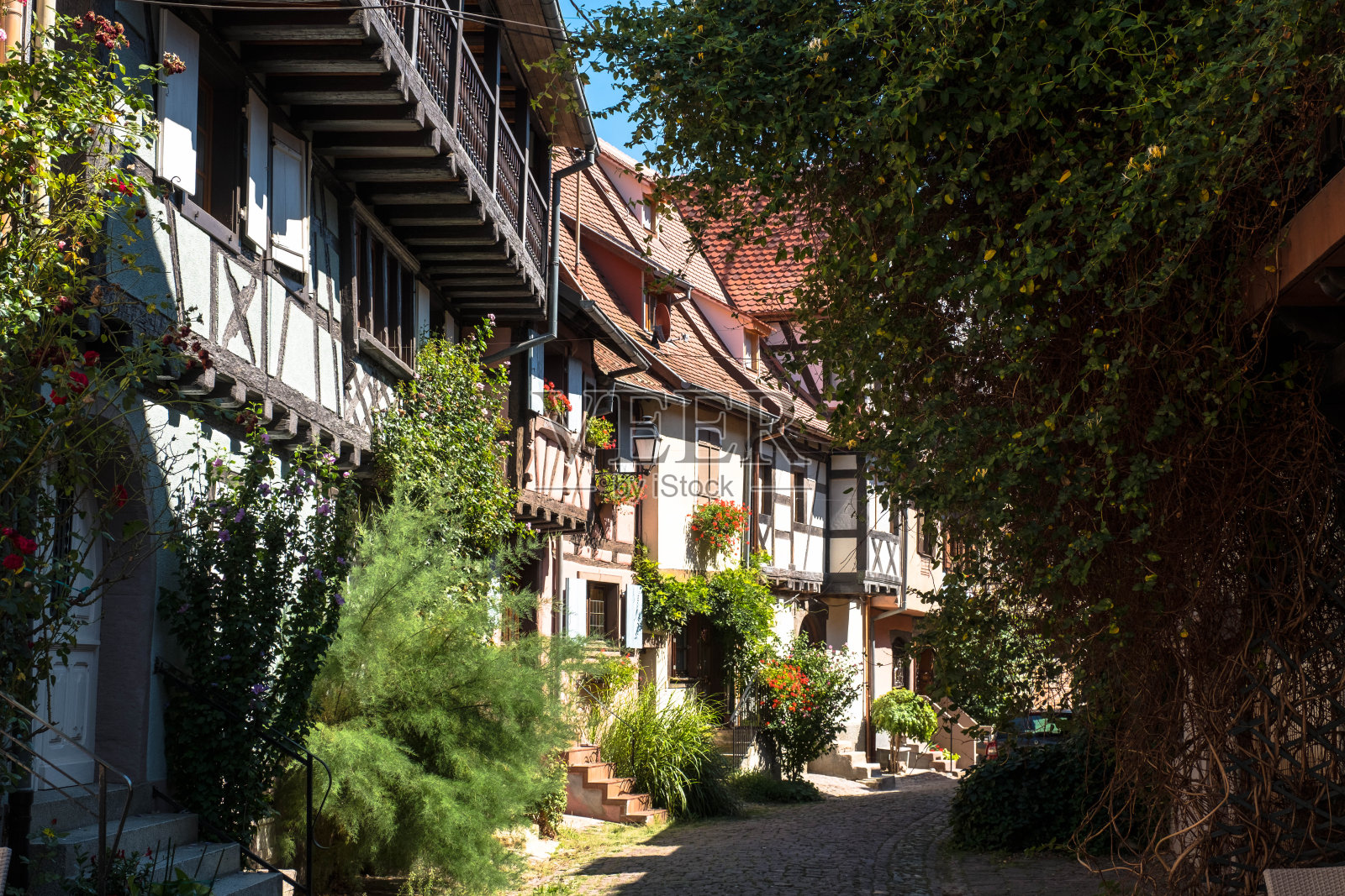 Eguisheim,房子里的色彩和窗户里的鲜花照片摄影图片