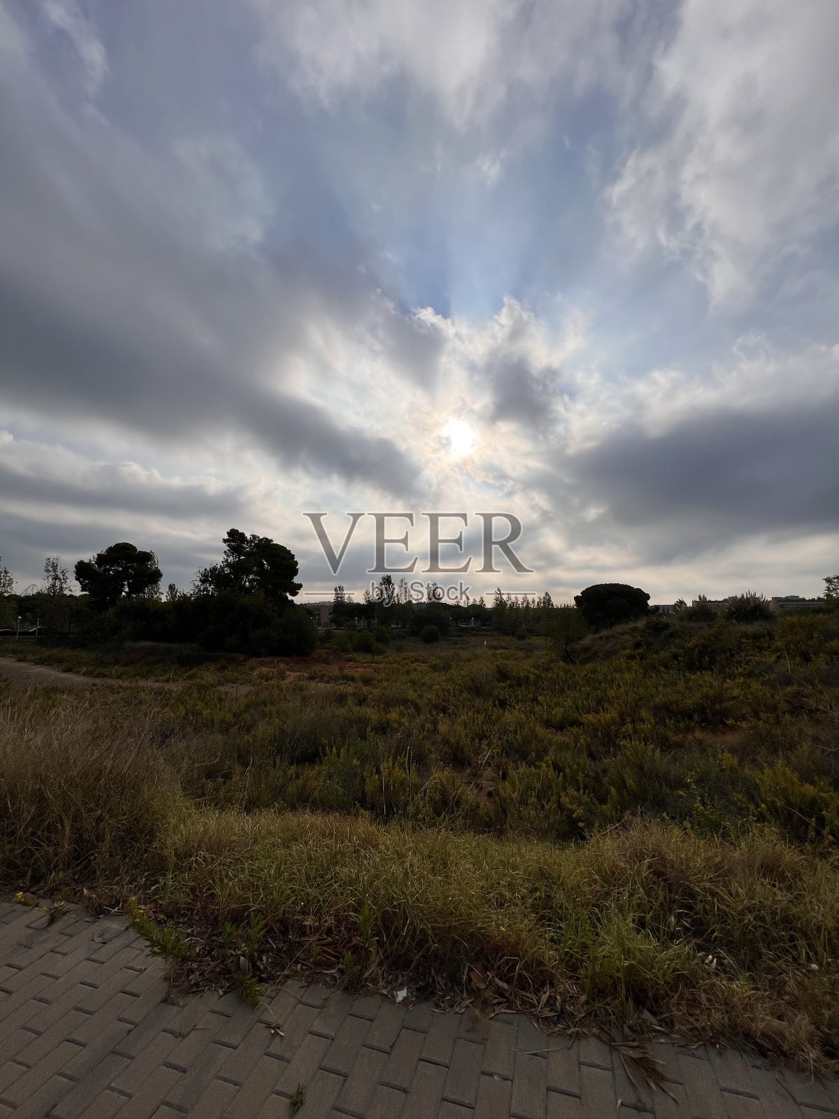 风景照片摄影图片