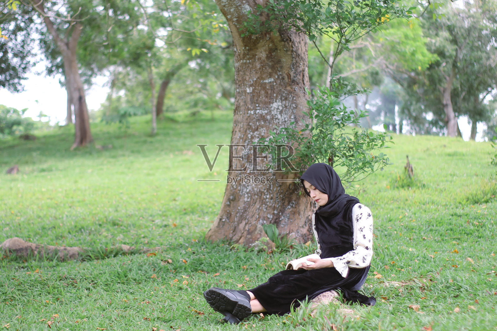年轻的希贾布妇女坐在公园里阅读享受照片摄影图片