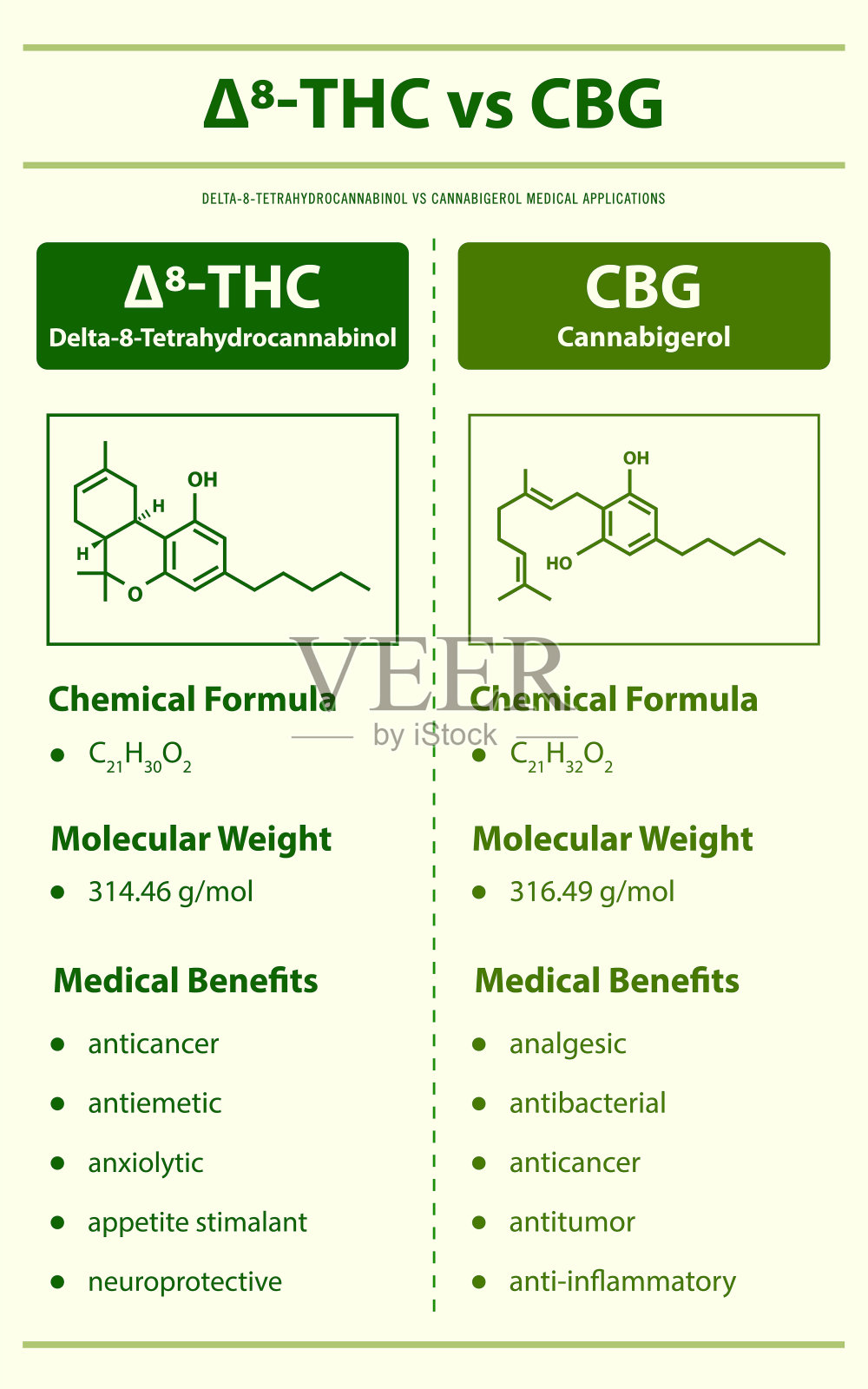 8- thc vd CBG, Delta 8四氢大麻酚vs大麻酚垂直信息图插画图片素材