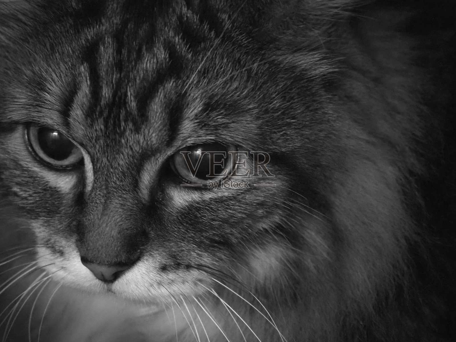 解决问题照片摄影图片