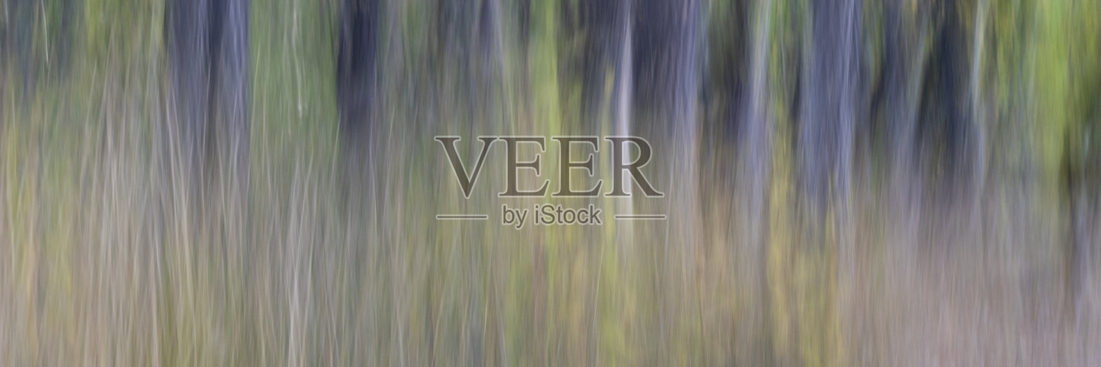 自然运动模糊抽象的照片摄影图片