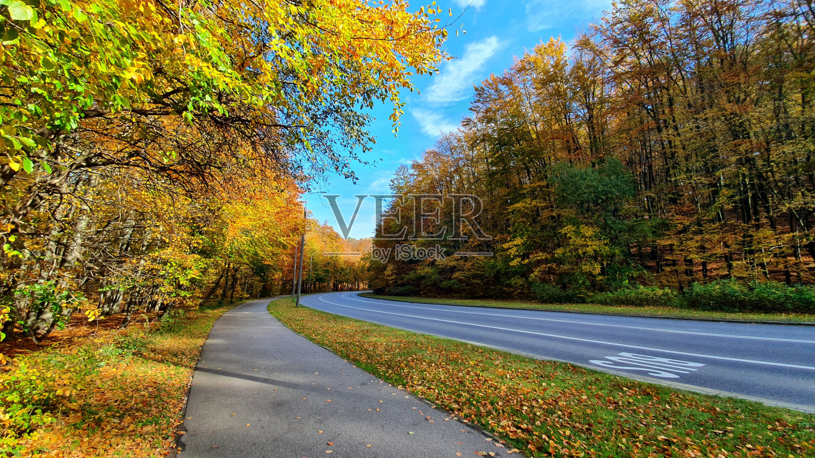 路在秋天的森林里照片摄影图片