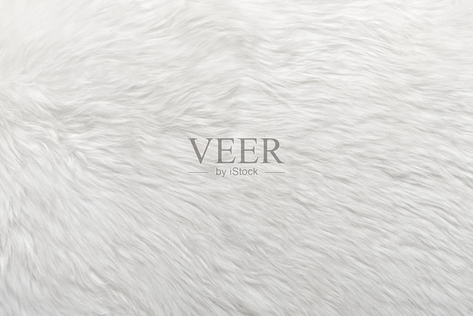 背景纹理为白色羊皮羊毛。照片摄影图片