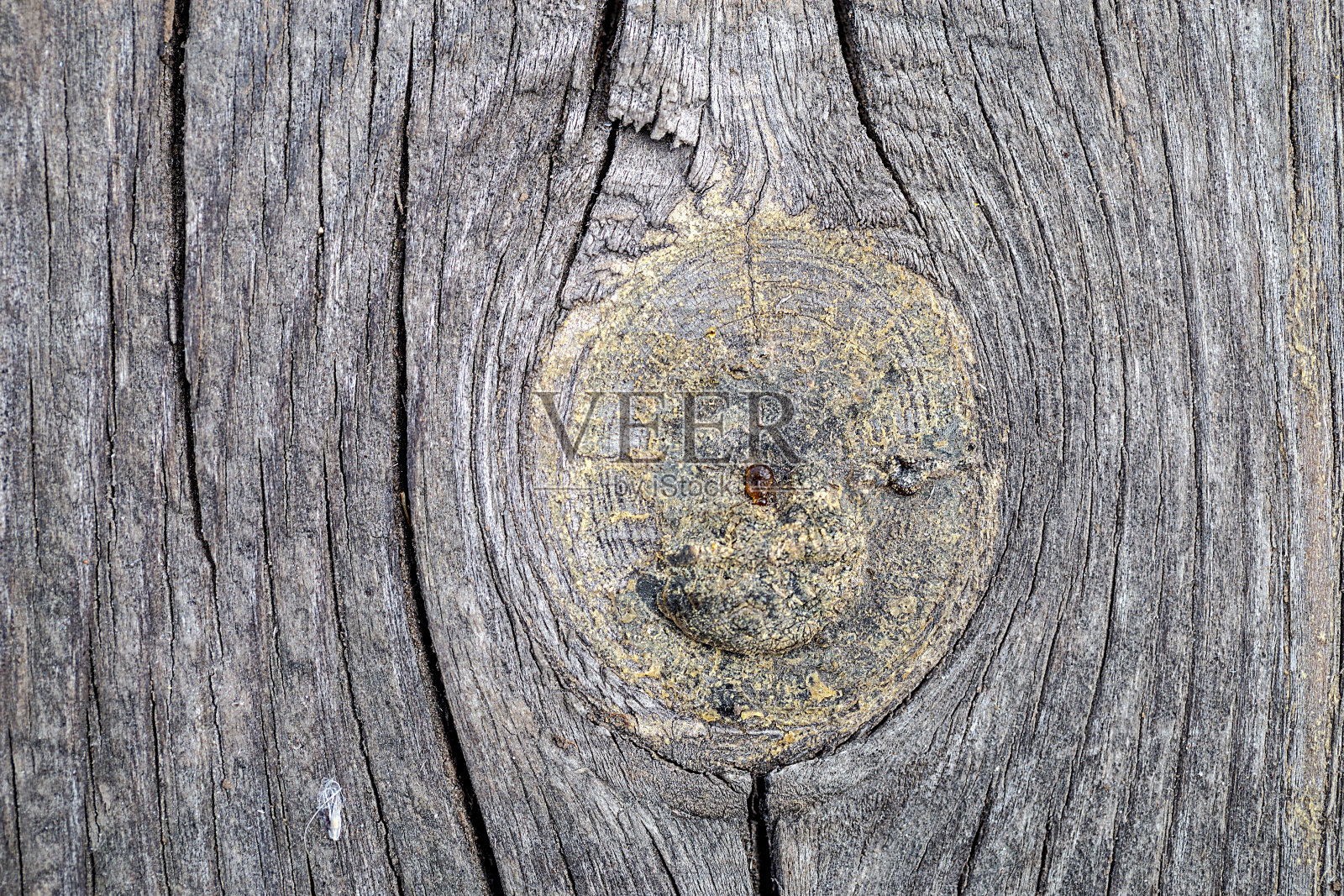 天然木制背景。老式木质纹理。有一个结的旧木板特写。照片摄影图片
