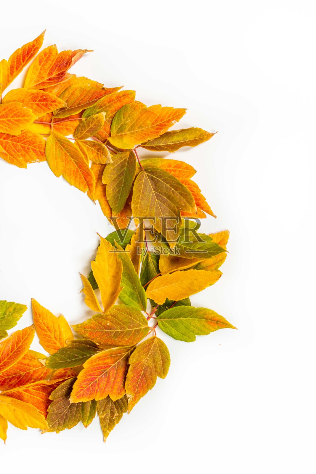 秋天的树叶用橙色、黄色和绿色的叶子编成花环照片摄影图片