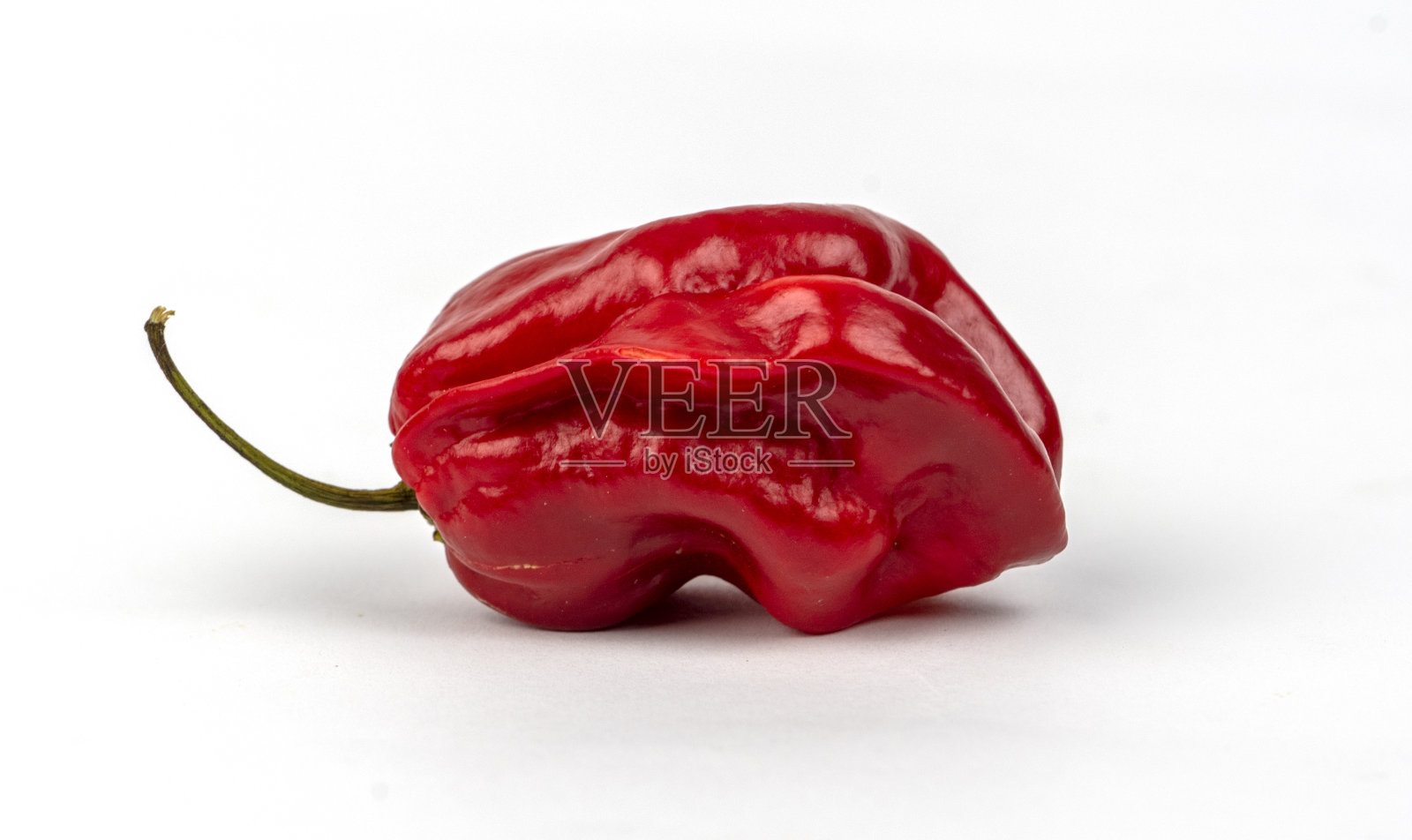 红辣椒孤立在白色背景下照片摄影图片