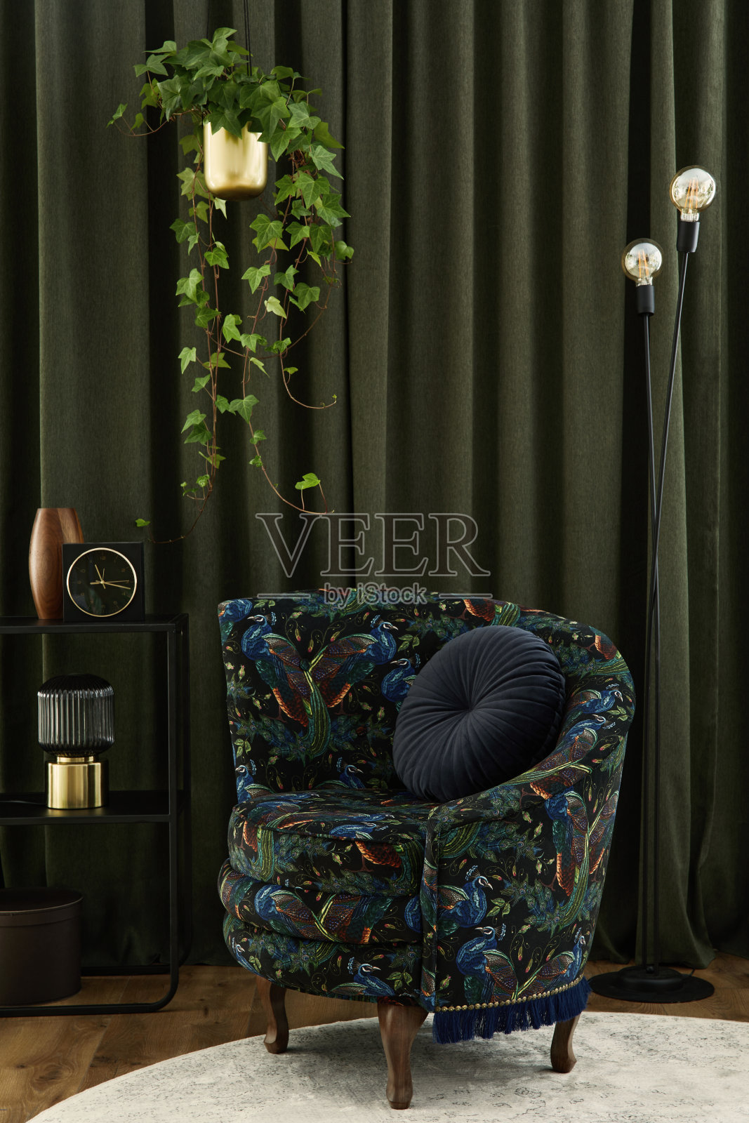 非凡的客厅内部组成与设计的扶手椅,黑色控制台,许多植物和时尚的个人配件。都市丛林的概念。模板。照片摄影图片