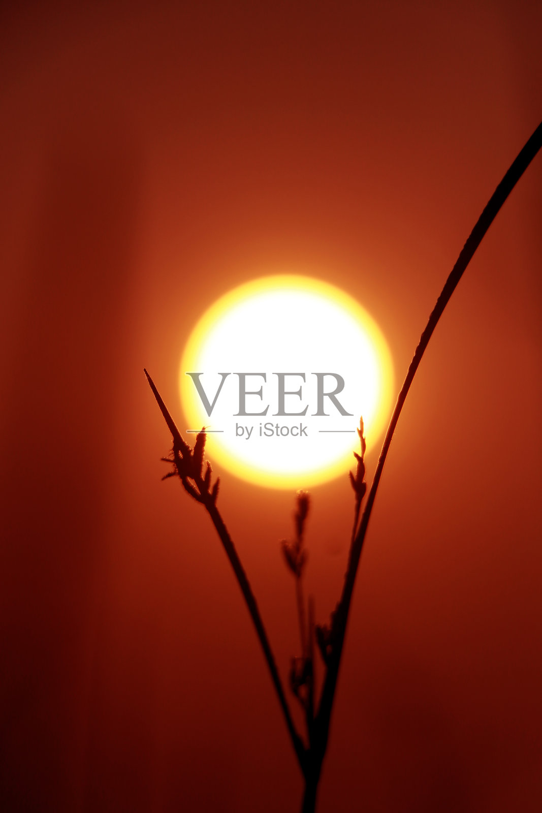 日落照片摄影图片