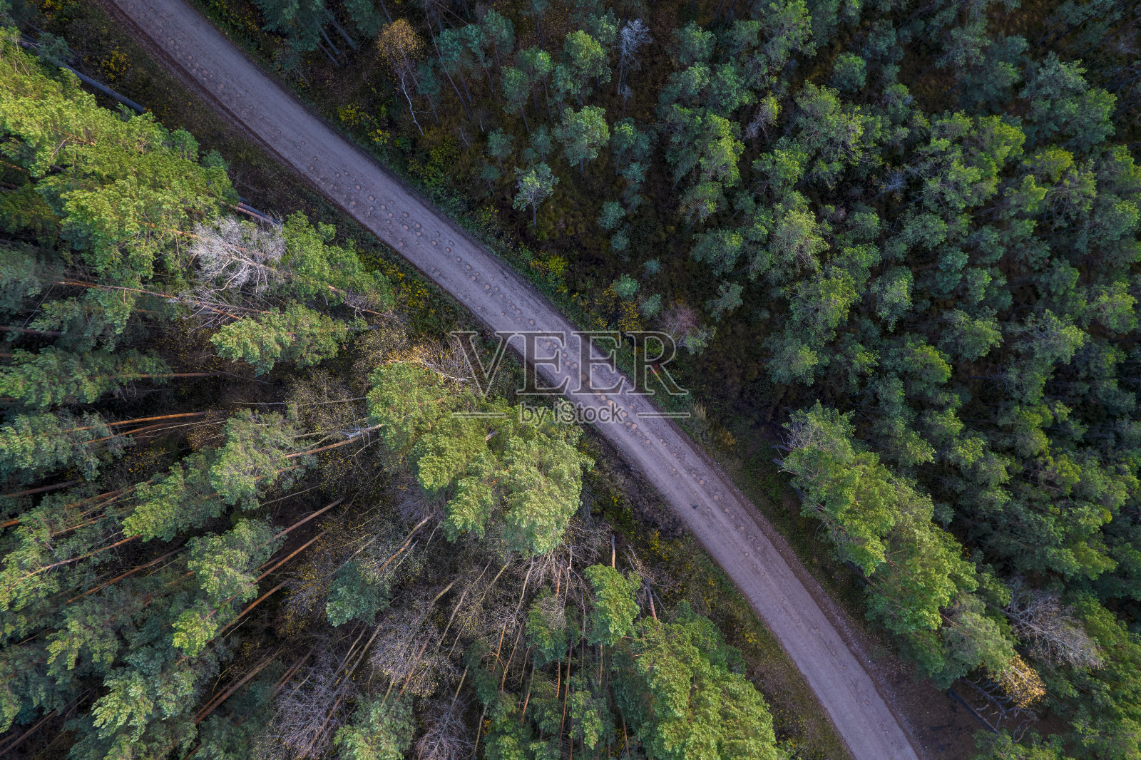 黄金时代的公路和森林的无人机视图照片摄影图片