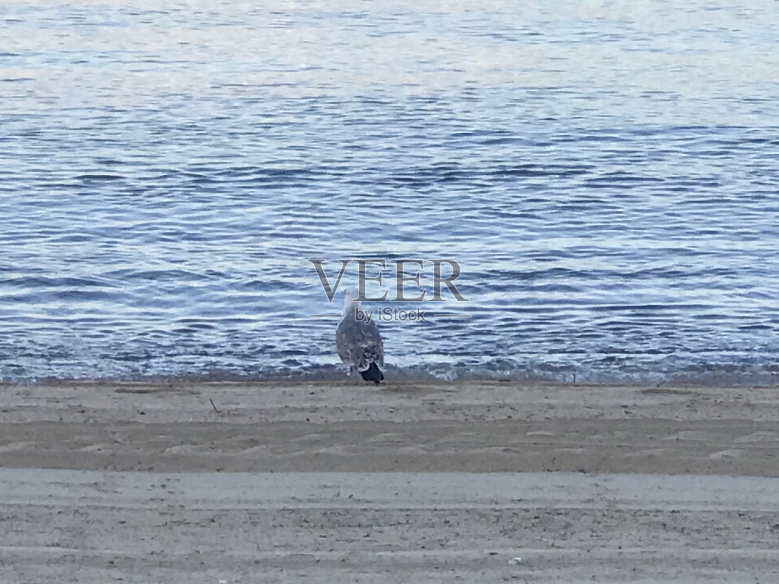 阿雷纳尔海滩。马略卡岛帕尔马。西班牙。照片摄影图片