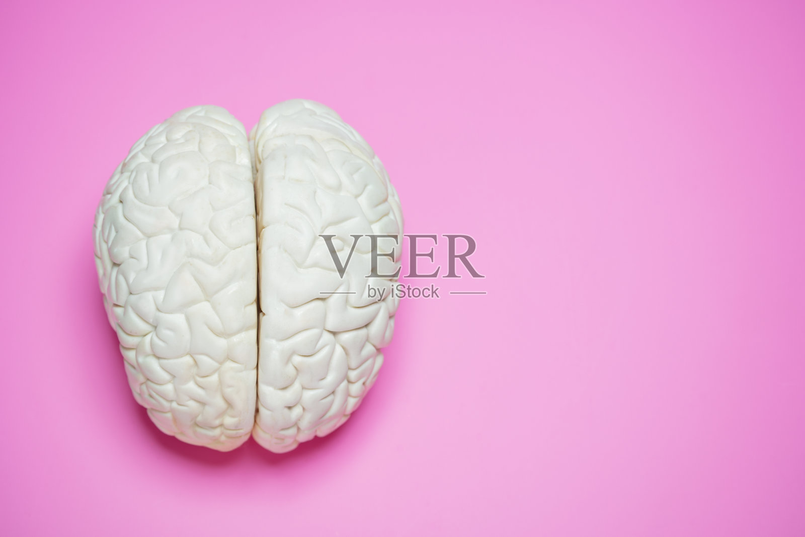 人类大脑在粉红色背景上的照片照片摄影图片