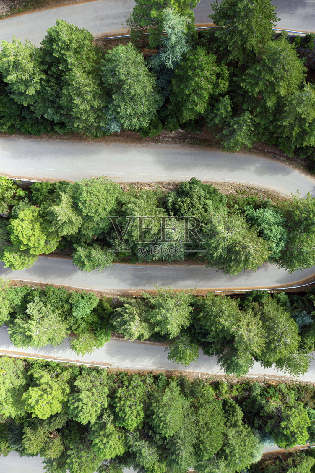 从上面看,令人惊叹的鸟瞰图,蜿蜒的道路被绿色的松树包围。林巴拉山(蒙特林巴拉)撒丁岛,意大利。照片摄影图片