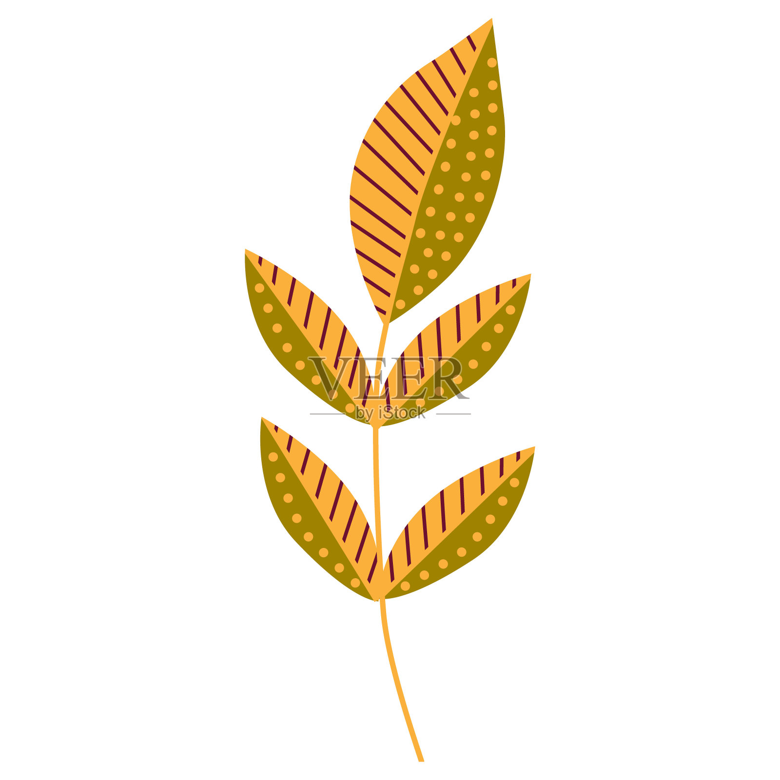 程式化的叶子,平面设计,在白色上孤立插画图片素材