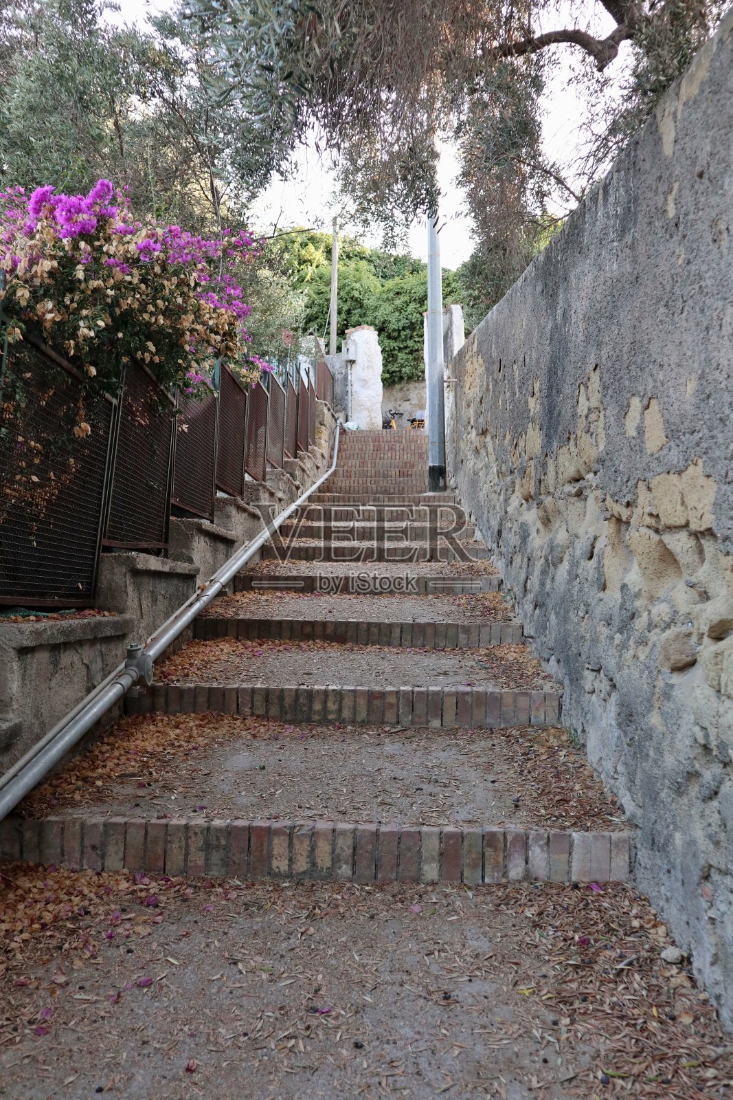Procida -通往Via del Faro的楼梯照片摄影图片
